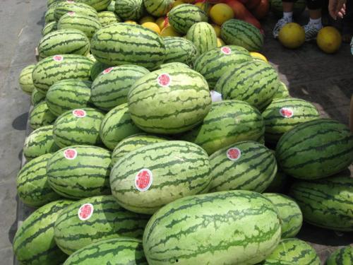 怀仁网红大瓜最新消息,揭秘背后惊人真相，网友热议不断！